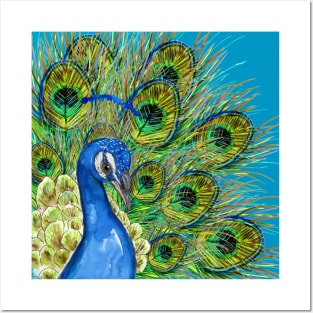 Peacock portrait Posters and Art